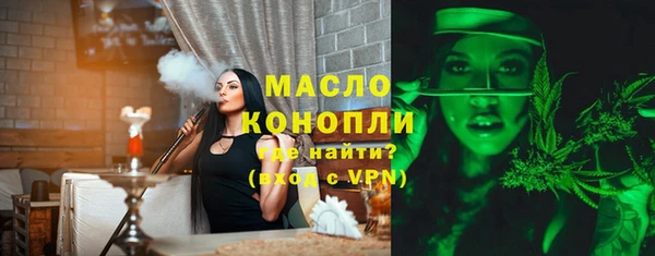 индика Абинск