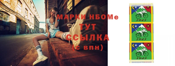 индика Абинск