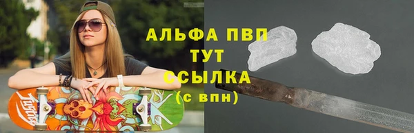 индика Абинск
