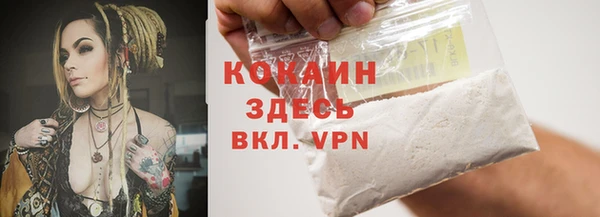 индика Абинск