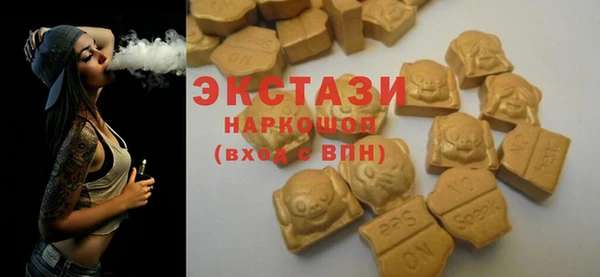 индика Абинск