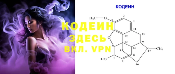 индика Абинск
