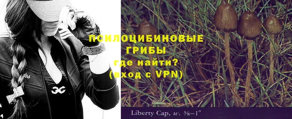 индика Абинск