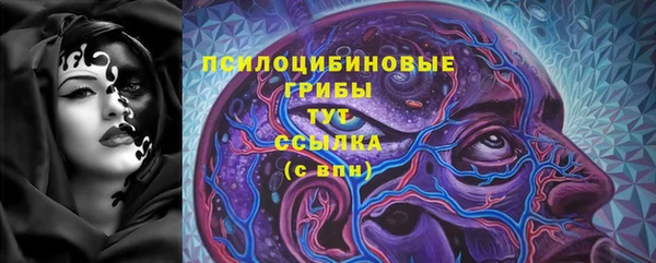 индика Абинск