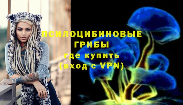 индика Абинск