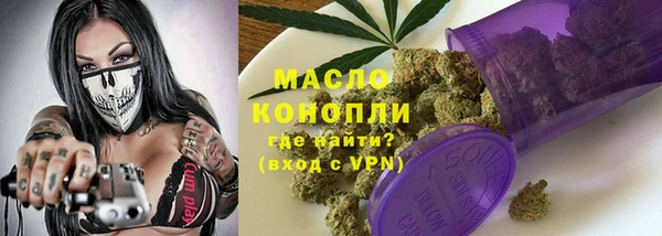индика Абинск