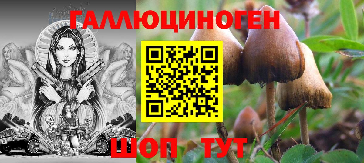 Галлюциногенные грибы GOLDEN TEACHER Севастополь
