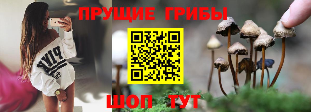 Севастополь  Галлюциногенные грибы мухоморы  Вход с VPN 